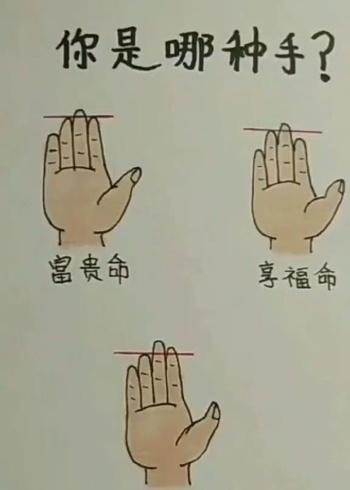 食指无名指一样长大富大贵