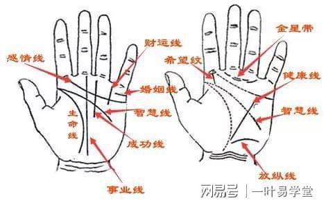 手相如何看有没有钱
