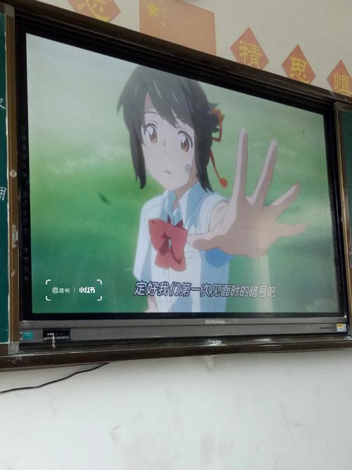 你的名字什么时候网上可以看