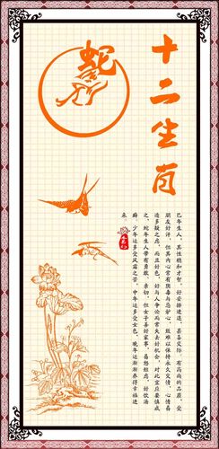 蛇年宝宝的性格