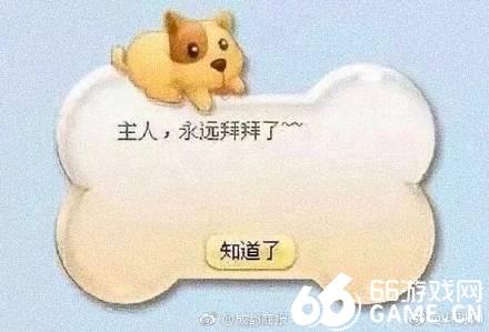 宠物重病将要死亡,属马人会怎么办
