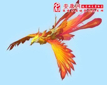梦见骑凤凰飞代表什么意思?