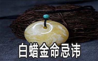 01年白蜡金蛇适合什么旺财