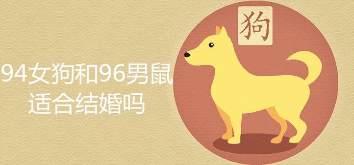 鼠女配狗男的婚姻好不好