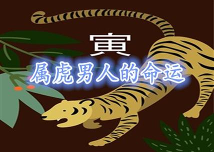 属虎男人的性格