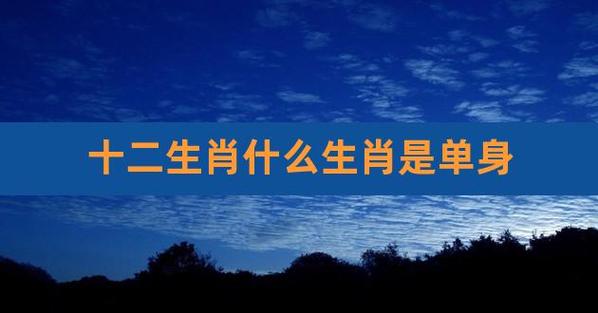 还是单身,容易被剩下来的生肖