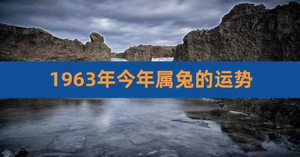 1963年属兔男命2022年上半年整体运势发展趋势