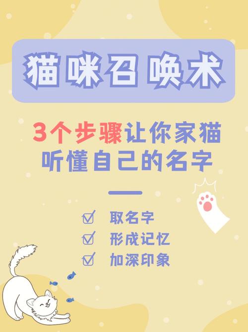 猫咪名字 好记好听好看好玩
