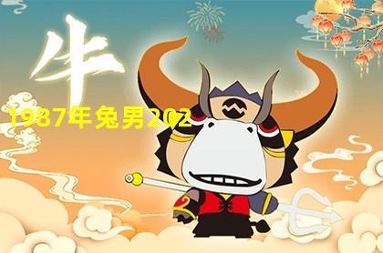 2021年87年属兔男运势