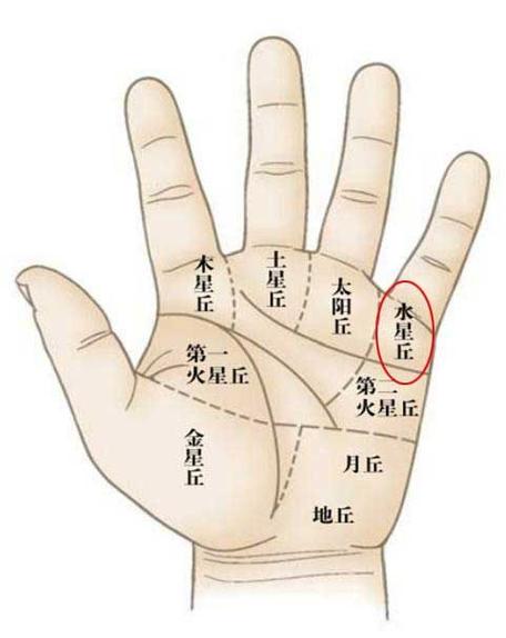 通过掌丘来看有无横财运