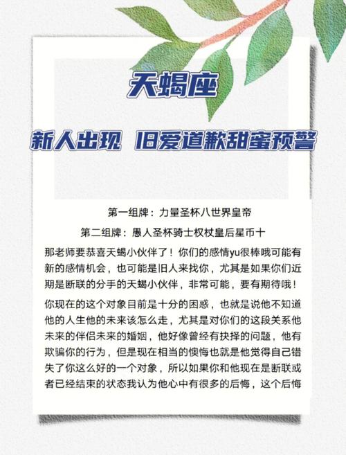 天蝎男会主动道歉吗