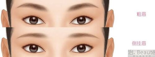 解读仰月唇卧蚕眉象征的含义