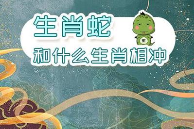 属蛇和属蛇的犯冲吗