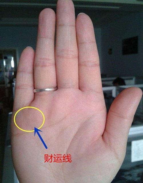 什么样的手相最好命最有福气