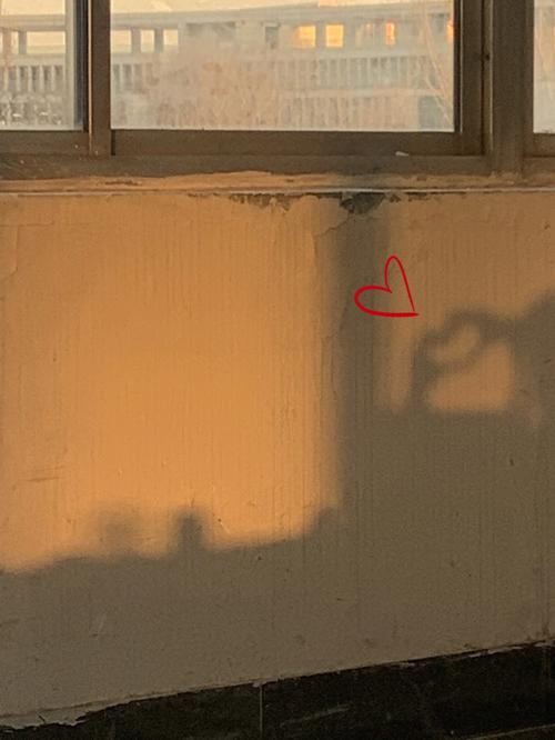 虎年出生的人命运如何·男人篇