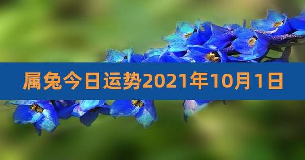 2021年10月26日属兔今日运势及运程详解