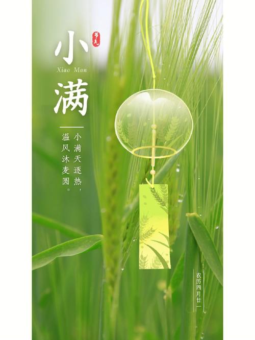 小满节气凶吉日,生肖牛需注意
