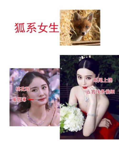 狐狸脸女生面相