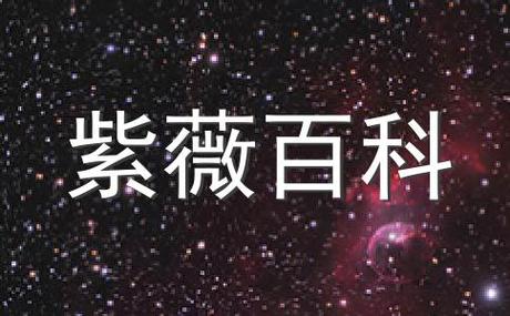 紫微看你投资什么最赚钱