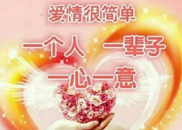 接下来一旦遇到真爱