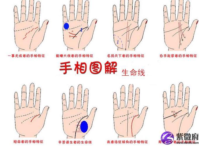 生命线分叉说明什么