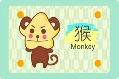 29岁属什么的生肖婚配
