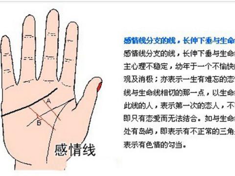 女生手相分析 女性手相算命感情线
