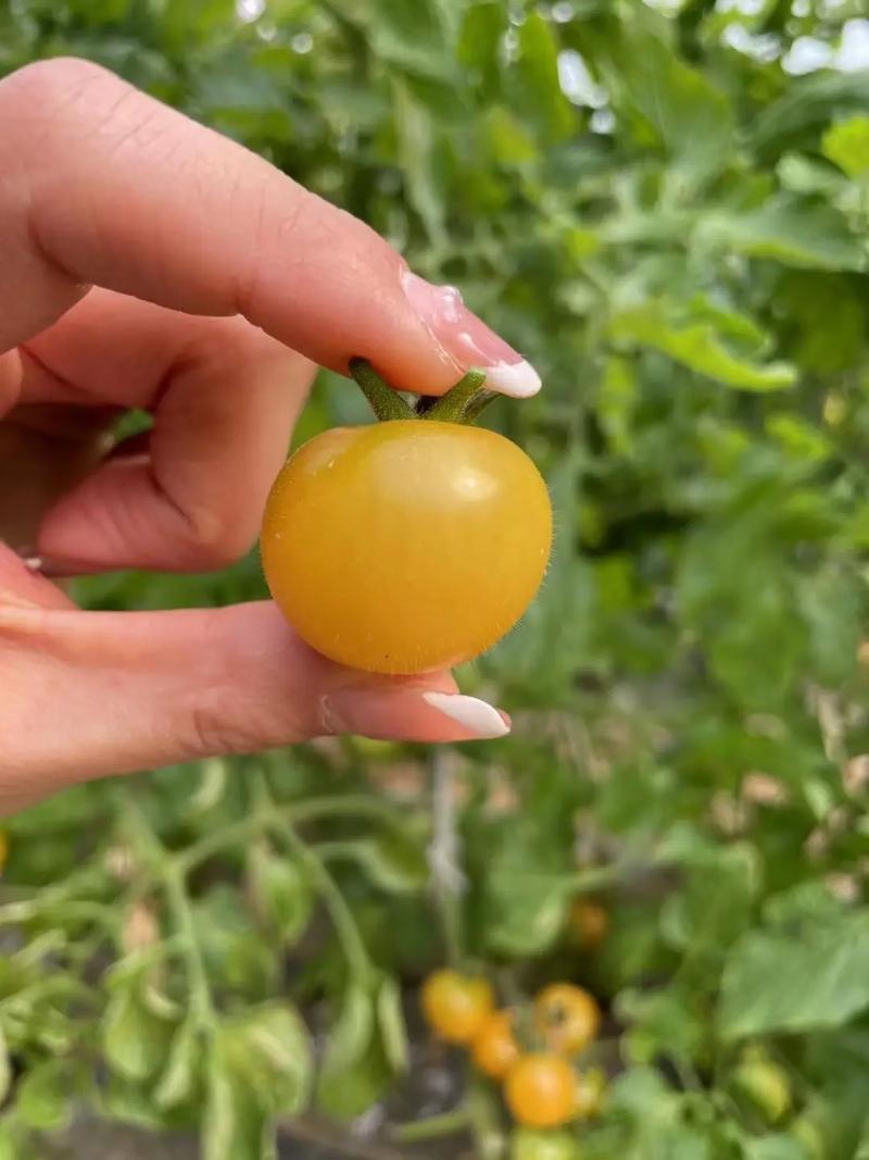 你俩爱情能收获咋样的果实