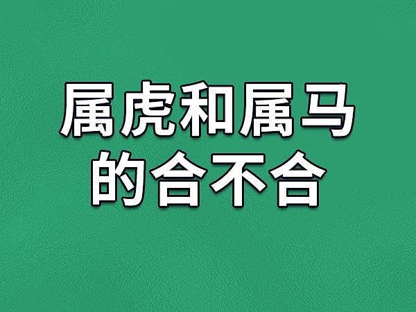 虎和马合不合