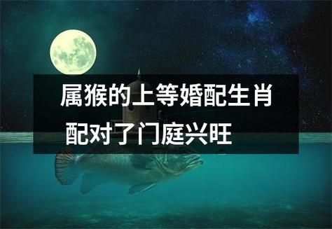 属猴的上等婚配