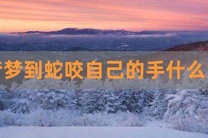 梦见蛇没咬自己