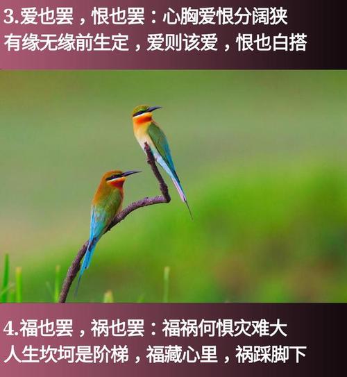 夫妻缘分前生定