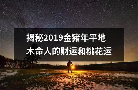 揭秘2019金猪年海中金命人的财运和桃花运