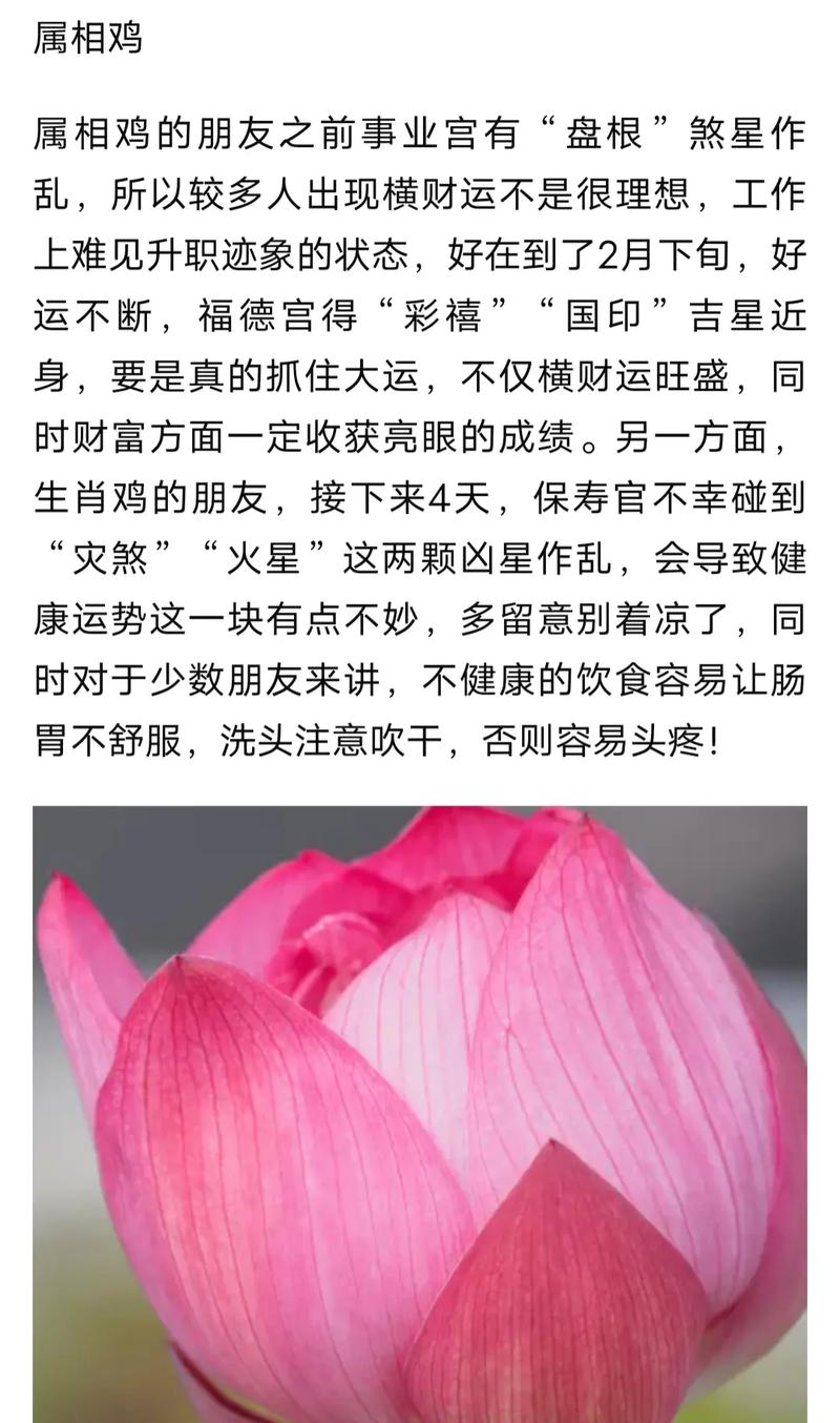 两周后,三大属相吉星助力,轻松逆袭,财气十足