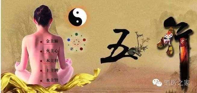 如果从胖瘦看人的运势运气?