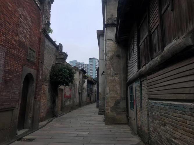 梦见挪树意思 周公解梦之梦到挪树意思