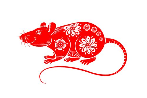 梦见红色的老鼠是什么意思