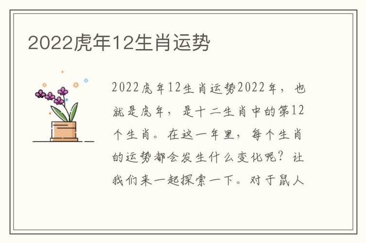 2022年12月事业运最好的生肖
