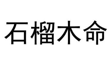 天上火和石榴木是最好的配对吗
