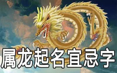 让属龙久久不能忘的那个人是谁