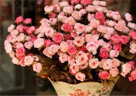 女生卧室养什么花能旺桃花运