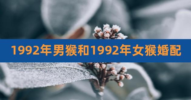 92年属猴的婚姻美满吗