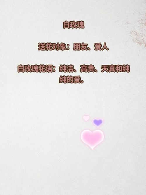 56朵玫瑰花的花语是什么?56朵玫瑰代表什么意思?