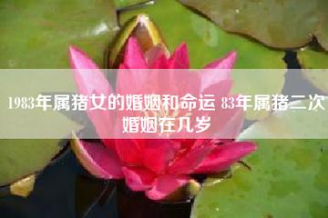 83年属猪女人婚姻感情运