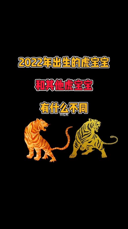 2022年虎跟别的虎有什么不同
