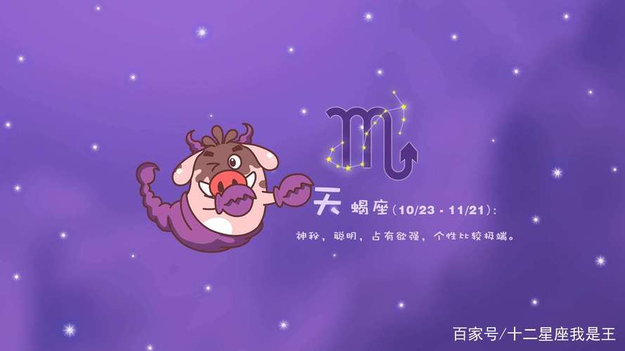 对家责任心强的星座