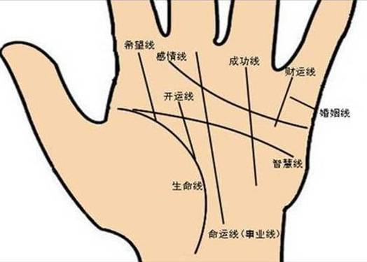 手上哪一个是生命线