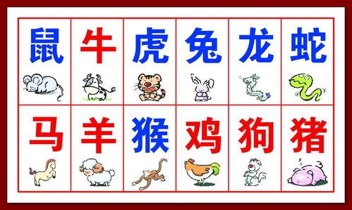 属相与动物饰物的宜忌