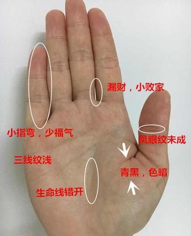 手相凤眼纹准吗?就看拇指上的小圈圈