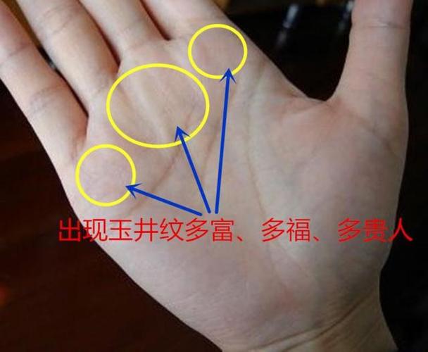 左手川字掌的人带这些物品能增运